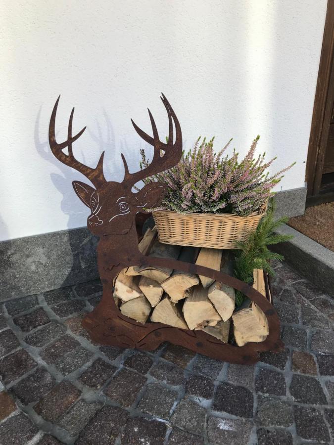 Ciasa Nonna Bon Bon Hotel Cortina d'Ampezzo Buitenkant foto